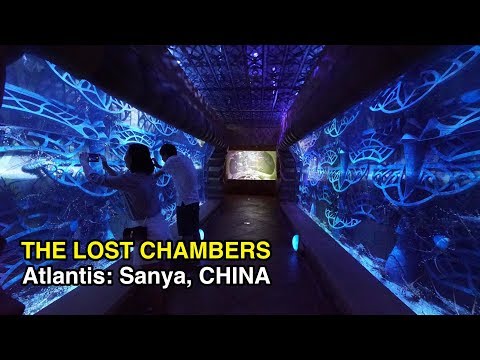[4K] The Lost Chambers: Aquarium @ Atlantis (Sanya, China)