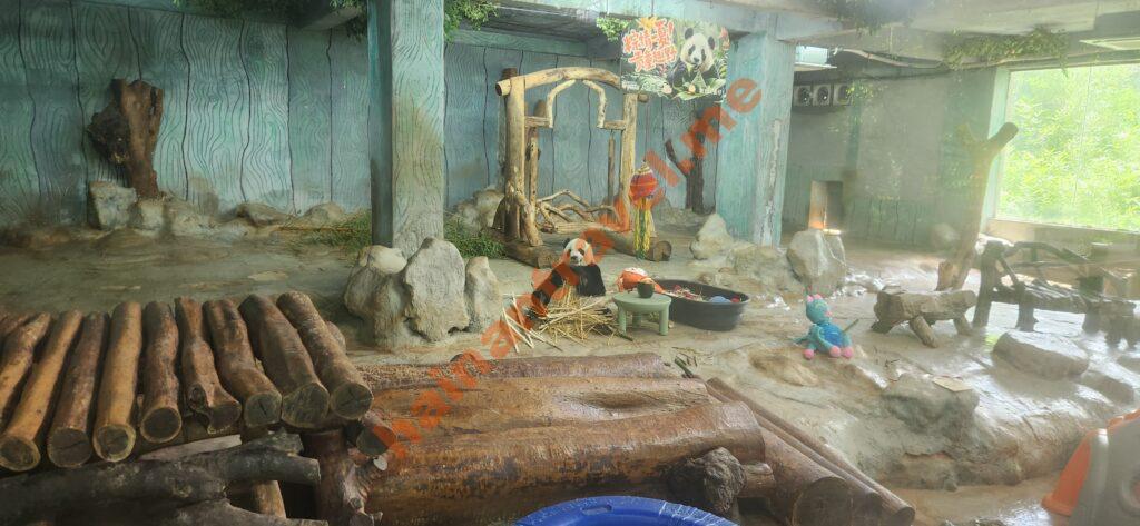 Сафари-парк Хайкоу: панды, медведи, цены и как добраться