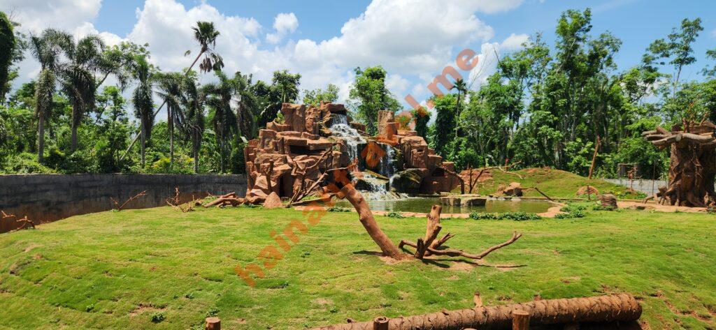 Сафари-парк Хайкоу: панды, медведи, цены и как добраться