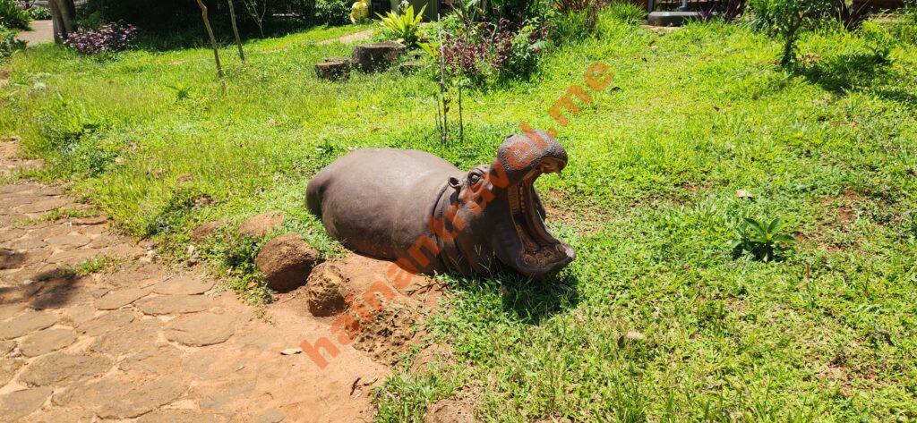 Сафари-парк Хайкоу: панды, медведи, цены и как добраться