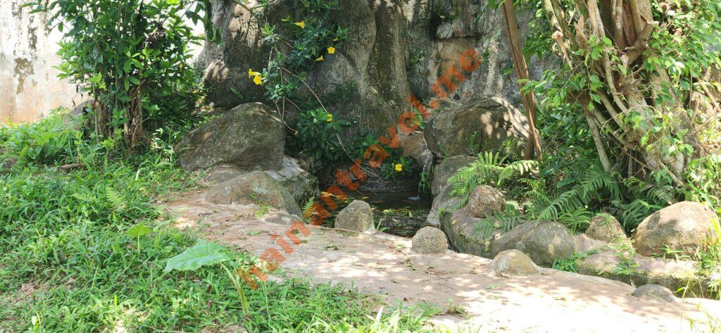 Сафари-парк Хайкоу: панды, медведи, цены и как добраться