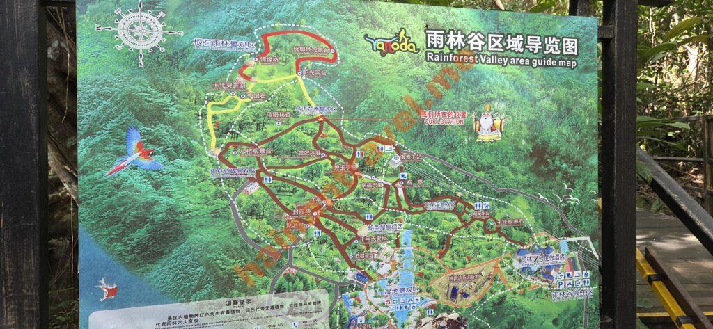 карта тропических лесов Янода