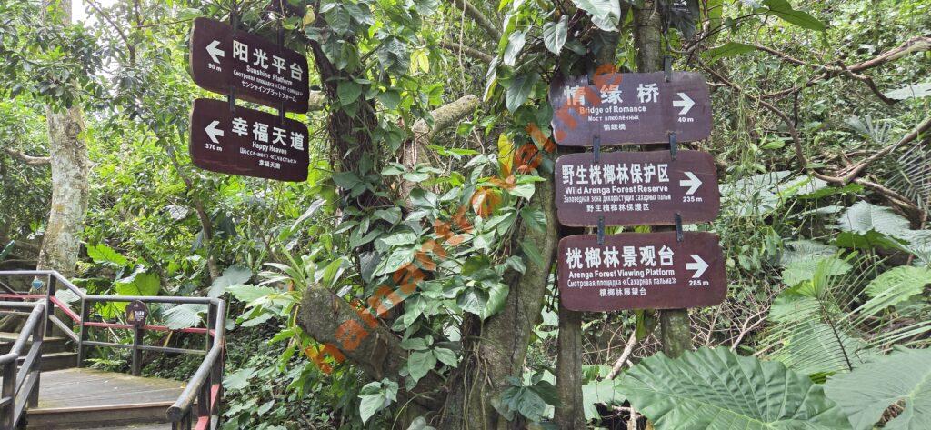 джунгли янода