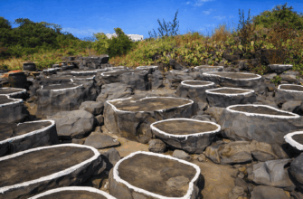 Тысячелетние соляные поля