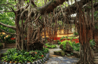 деревня Бали