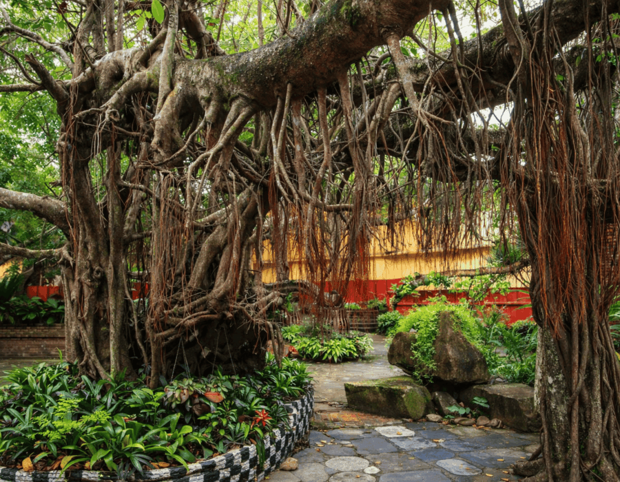 деревня Бали