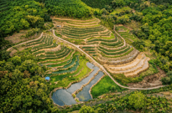смотровая терраса