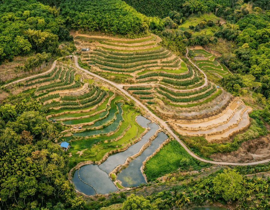 смотровая терраса
