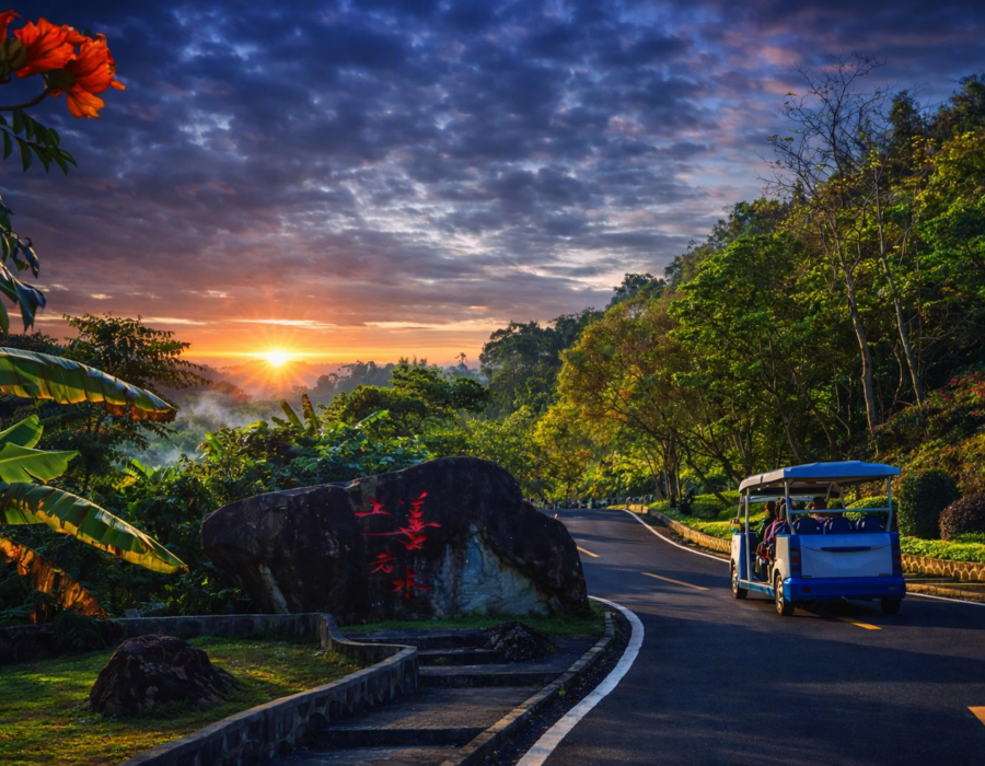 Чайная долина