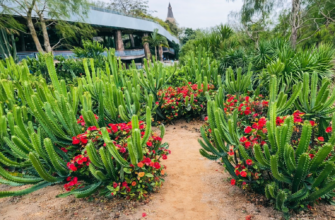 Rare Botanical Garden