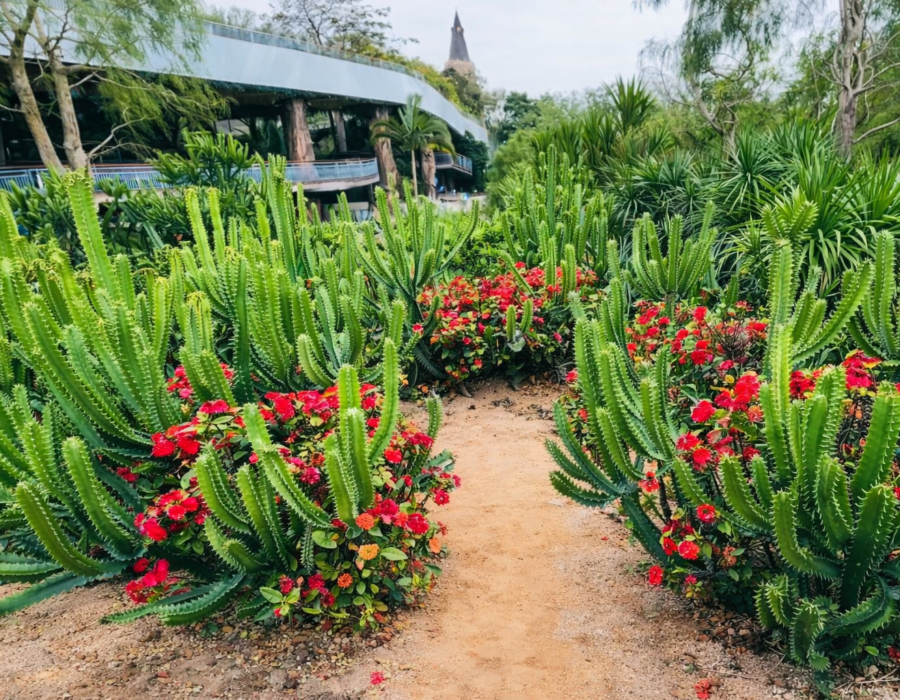 Rare Botanical Garden