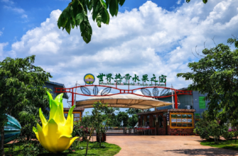 сад с экзотическими деревьями