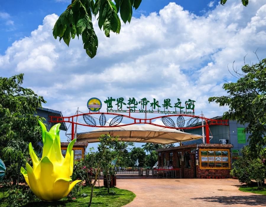 сад с экзотическими деревьями