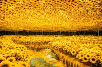 shi jie ming hua gan ying yi shu da zhan