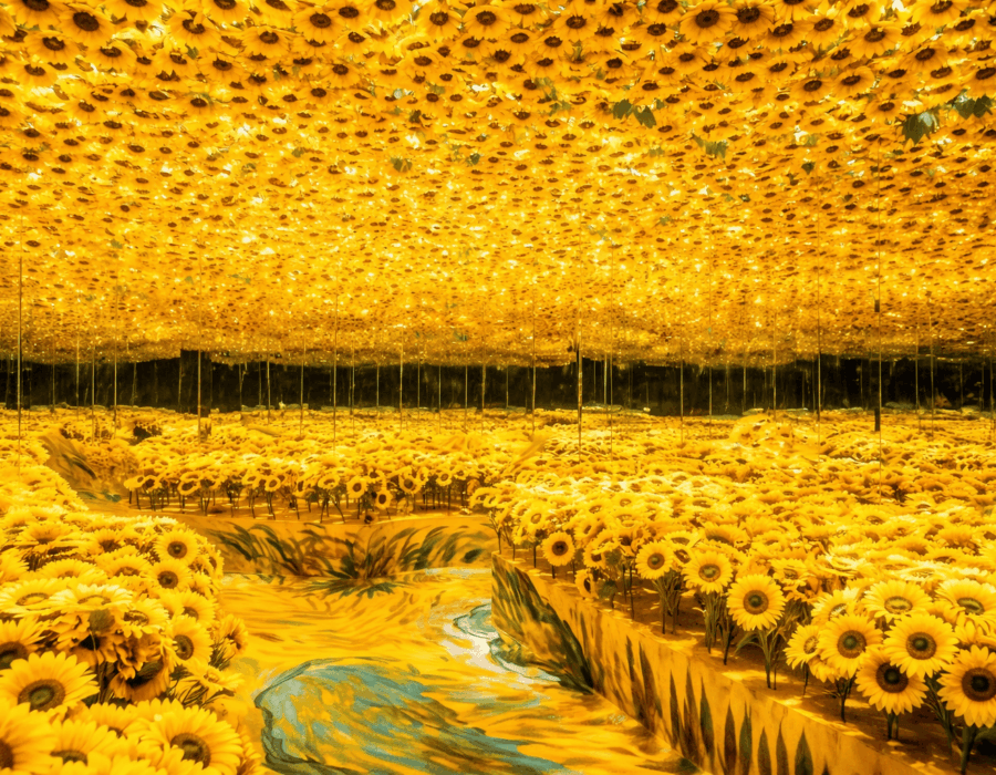 shi jie ming hua gan ying yi shu da zhan