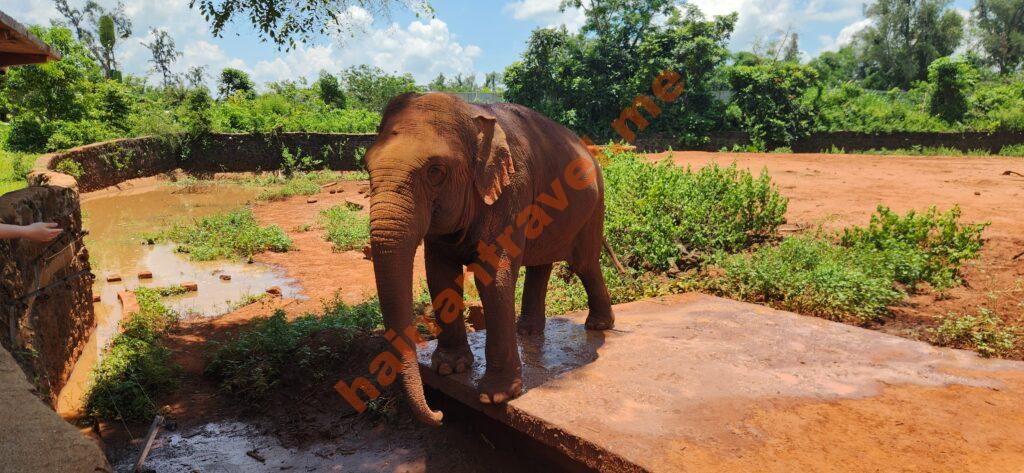 Достопримечательности Хайкоу: что посмотреть, куда сходить и чем заняться в столице Хайнаня