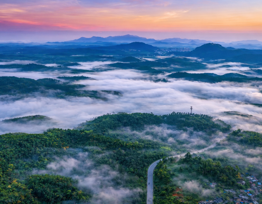 Hai Nan Bai Hua Ling