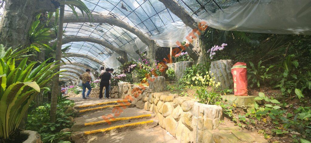 Тропический парк Ялонг Бей на Хайнане